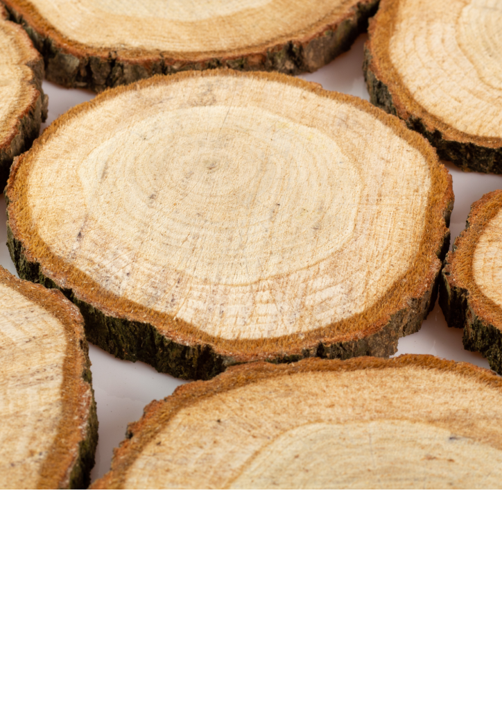 Log Slices